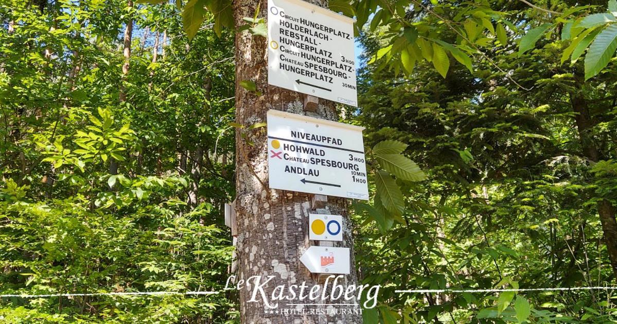 Hotel Restaurant Le Kastelberg, The Originals Boutique Andlau-au-Val Exterior foto