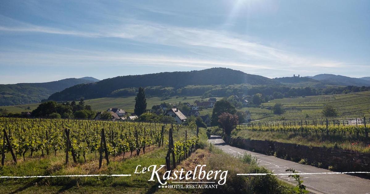 Hotel Restaurant Le Kastelberg, The Originals Boutique Andlau-au-Val Exterior foto